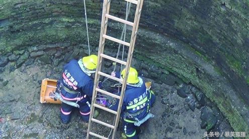 故事：情感寄存，保质保鲜，只要你敢存，这里就有人敢受