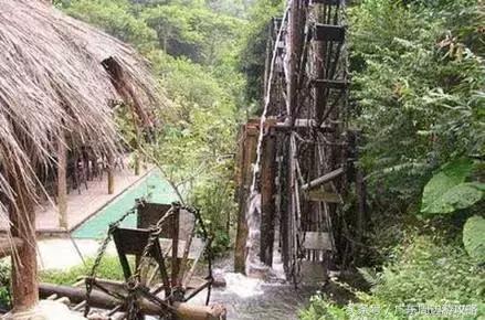 广东普罗旺斯花海,普罗旺斯的薰衣草紫色花海