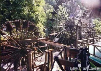 广东普罗旺斯花海,普罗旺斯的薰衣草紫色花海