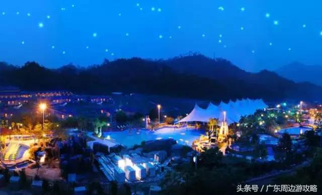 广东普罗旺斯花海,普罗旺斯的薰衣草紫色花海