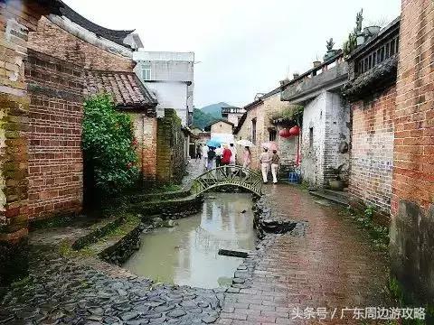 广东普罗旺斯花海,普罗旺斯的薰衣草紫色花海