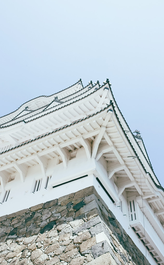 紫藤花开的季节去看锦鲤成了精，据说转发会有好运