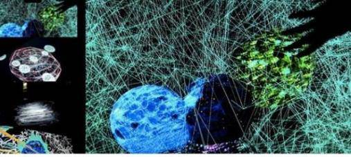 商业智能数据可视化分析,plotly数据可视化