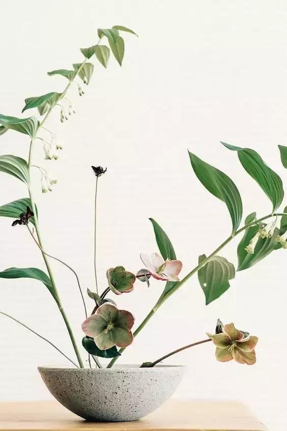 我想学插花有教程吗,学插花怎么学