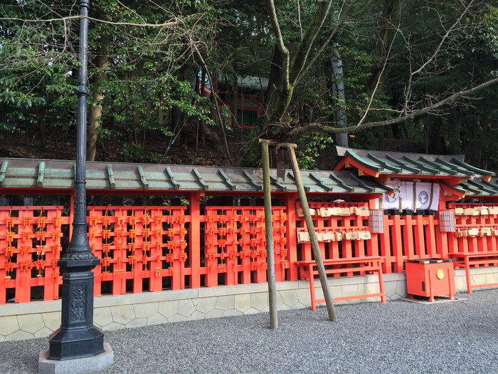 日本的冬天仍然色彩残暴,冬季日本的冰雪阳光