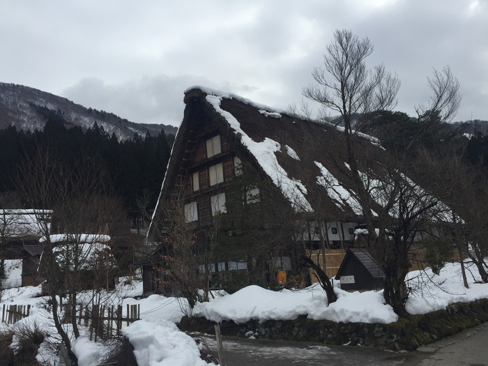 日本的冬天仍然色彩残暴,冬季日本的冰雪阳光