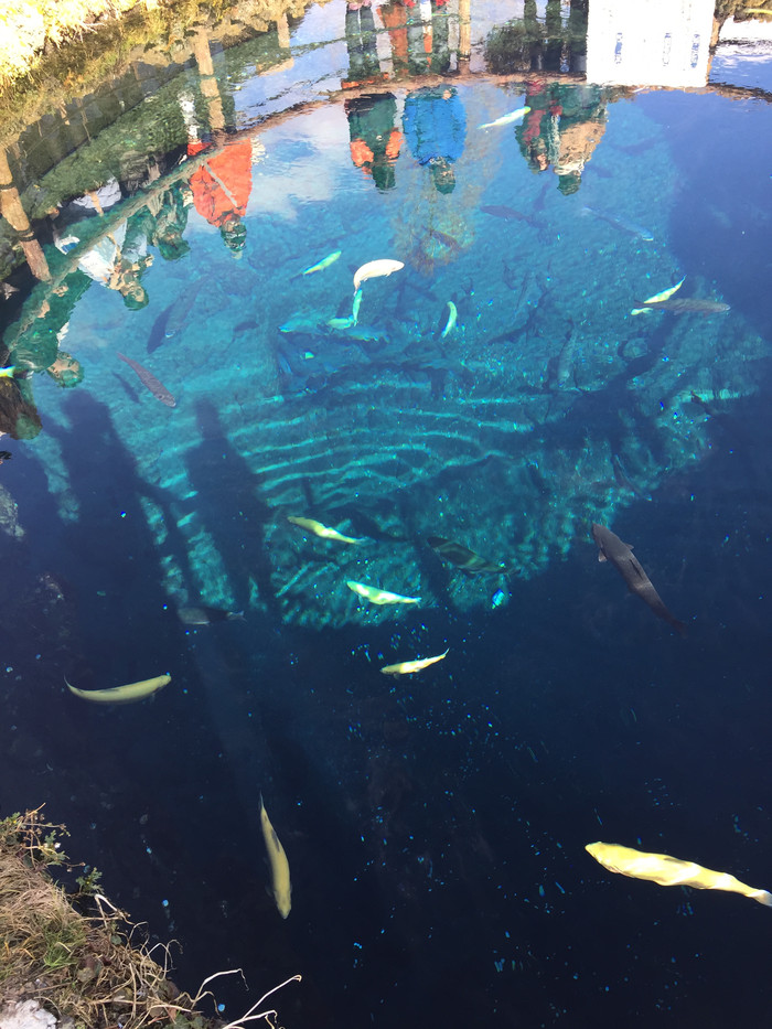 日本的冬天仍然色彩残暴,冬季日本的冰雪阳光