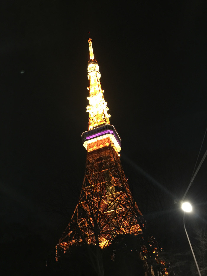 日本的冬天仍然色彩残暴,冬季日本的冰雪阳光