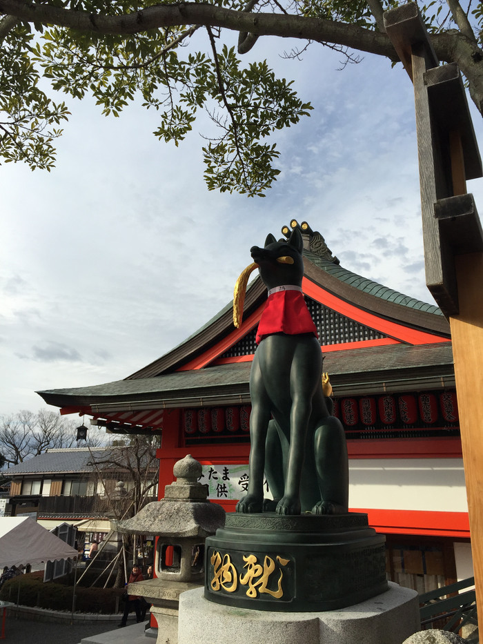 日本的冬天仍然色彩残暴,冬季日本的冰雪阳光