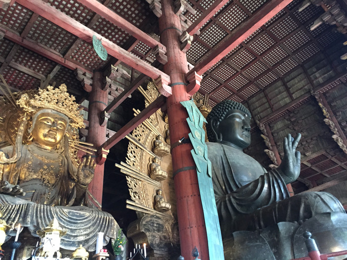 日本的冬天仍然色彩残暴,冬季日本的冰雪阳光