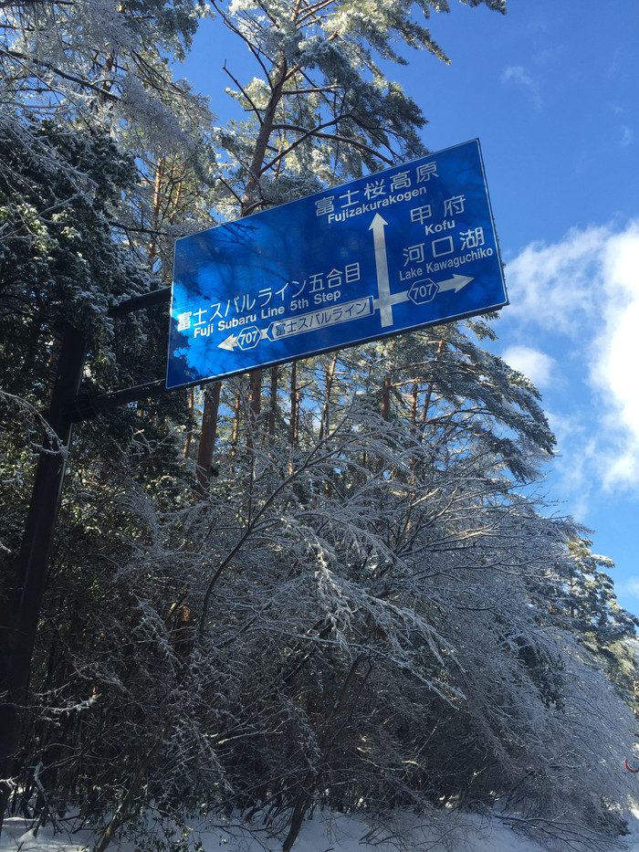 日本的冬天仍然色彩残暴,冬季日本的冰雪阳光