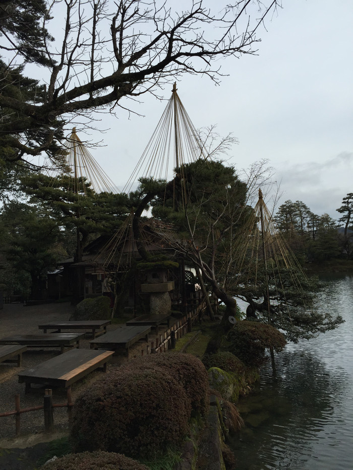 日本的冬天仍然色彩残暴,冬季日本的冰雪阳光