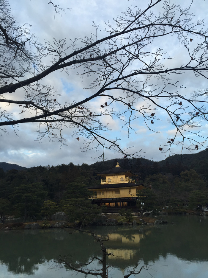 日本的冬天仍然色彩残暴,冬季日本的冰雪阳光