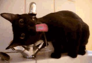 水质污染严重用净水器可以吗,井水污染用净水器过滤可以喝吗