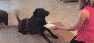 你身边有这么贱的人吗,你身边有没有很贱的人