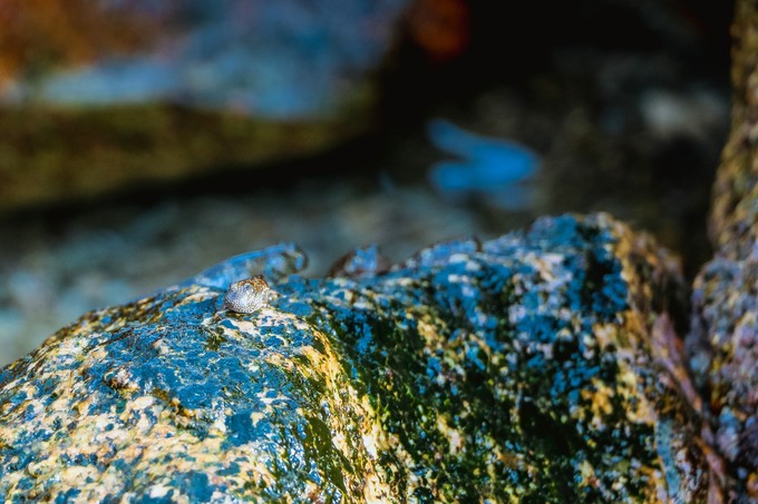 北纬18度三亚你不愿意错过的风景