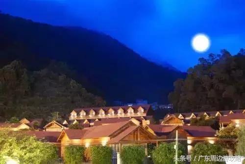 广东普罗旺斯花海,普罗旺斯的薰衣草紫色花海