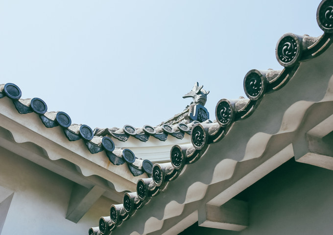 紫藤花开的季节去看锦鲤成了精，据说转发会有好运