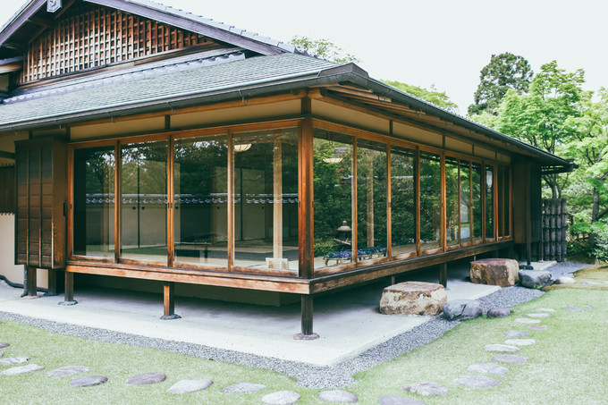 紫藤花开的季节去看锦鲤成了精，据说转发会有好运