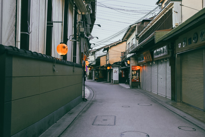 紫藤花开的季节去看锦鲤成了精，据说转发会有好运