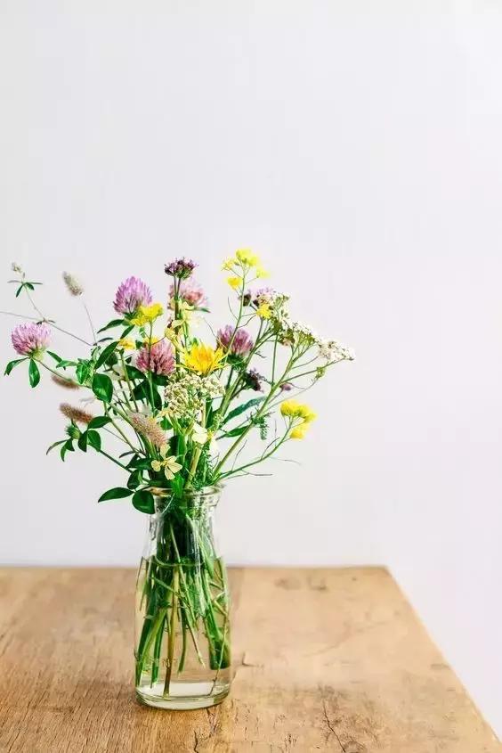 我想学插花有教程吗,学插花怎么学