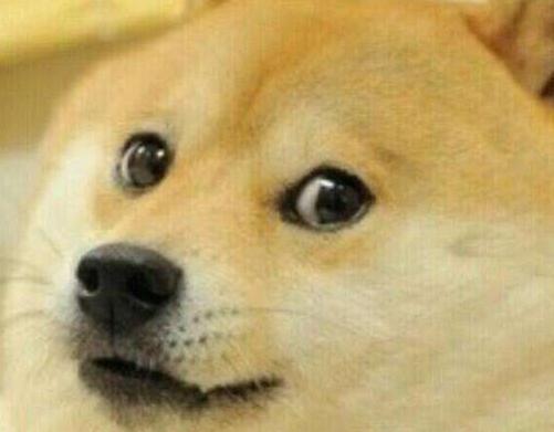 车撞死狗要不要退款,机动车撞死狗要赔钱吗