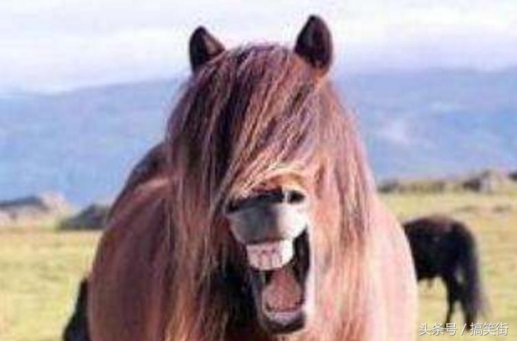 小明冷笑话大全爆笑,冷笑话小孩子