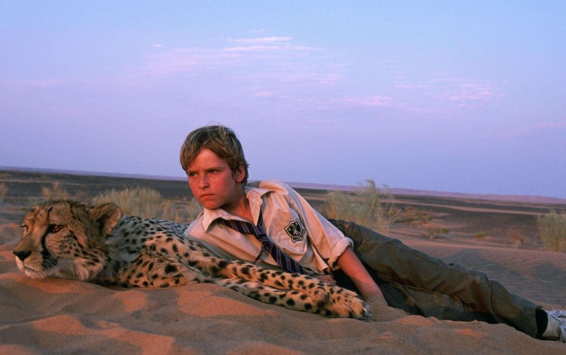 适合孩子看的八部动物电影,小朋友可以看的与动物有关的电影