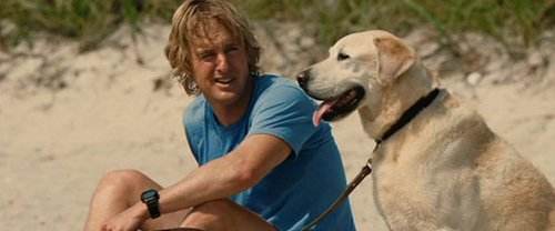 适合孩子看的八部动物电影,小朋友可以看的与动物有关的电影