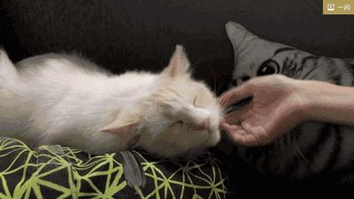 论“在餐厅一边看mao片，一边撸”，是一种什么样的体验？