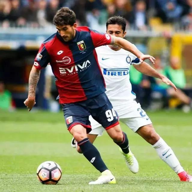 他们都穿什么篮球鞋,他们穿什么衣服翻译