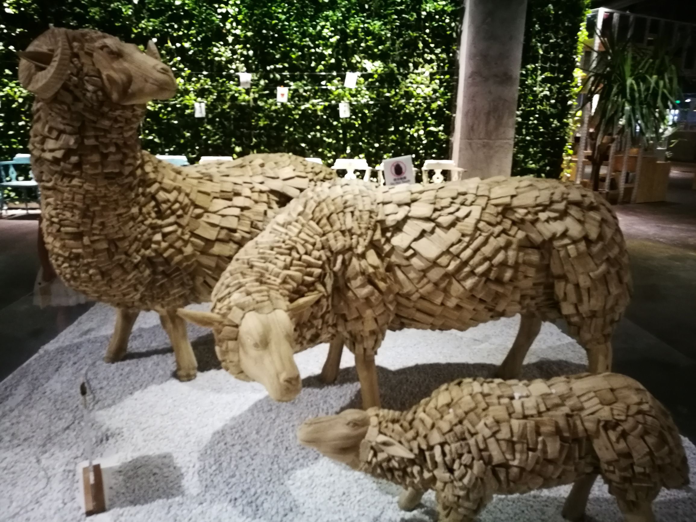 三亚小众书店推荐,三亚湾红树林书店