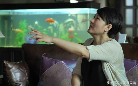 老公的外甥高中三年都在我家吃住，临毕业时大姑姐一句话把我气晕