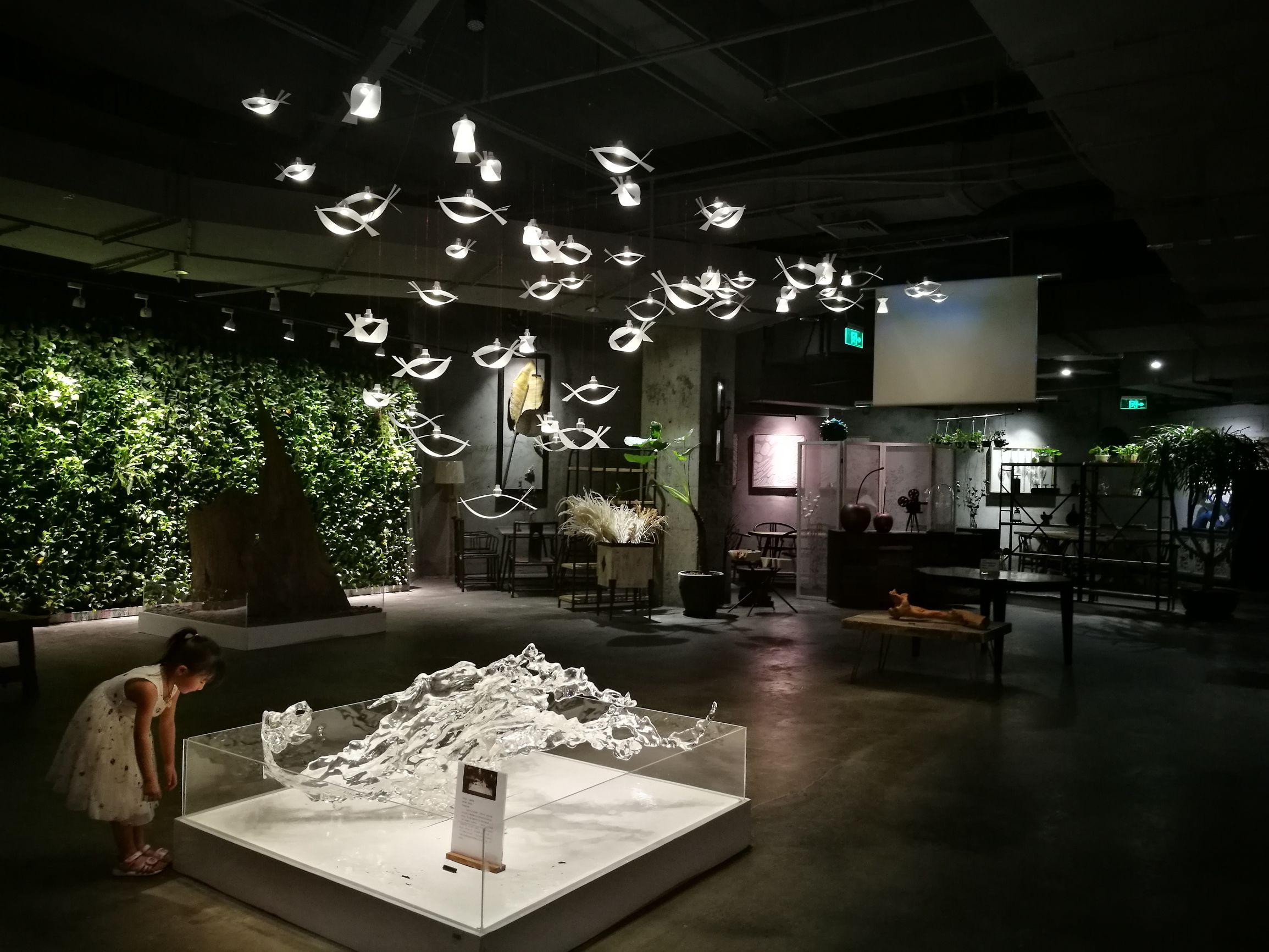 三亚小众书店推荐,三亚湾红树林书店