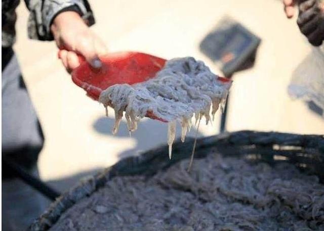 带女朋友回娘家吃辣条,带女友回广西吃水果