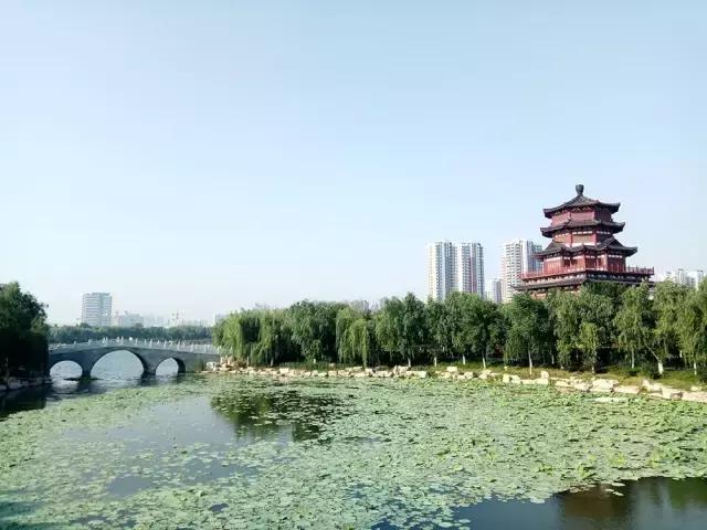 第1组｜玩转手机摄影思锐光学年度手机摄影大赛海选入围