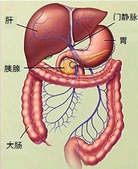 婴儿直肠给药一般多久,宝宝直肠给药有没有危害