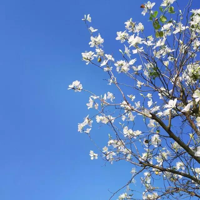 第1组｜玩转手机摄影思锐光学年度手机摄影大赛海选入围