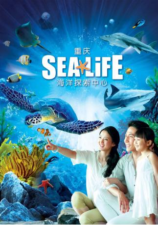 重庆汉海海洋世界,重庆融创海洋世界