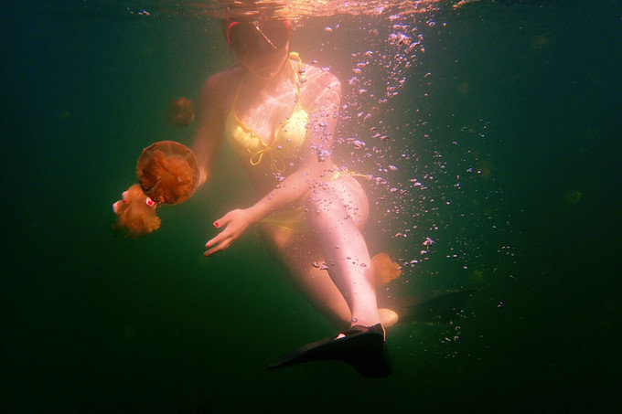 带着思念去海边,带着思念期待下一次再见