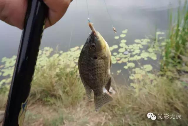 德国背包客的省钱绝招，和他们拼车自驾澳洲，半个月只花一百多刀