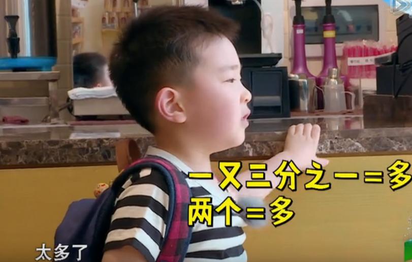 李晨鹿晗应采儿什么综艺节目,鹿晗跟应采儿综艺叫什么名字