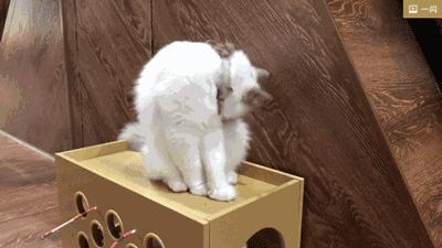 论“在餐厅一边看mao片，一边撸”，是一种什么样的体验？