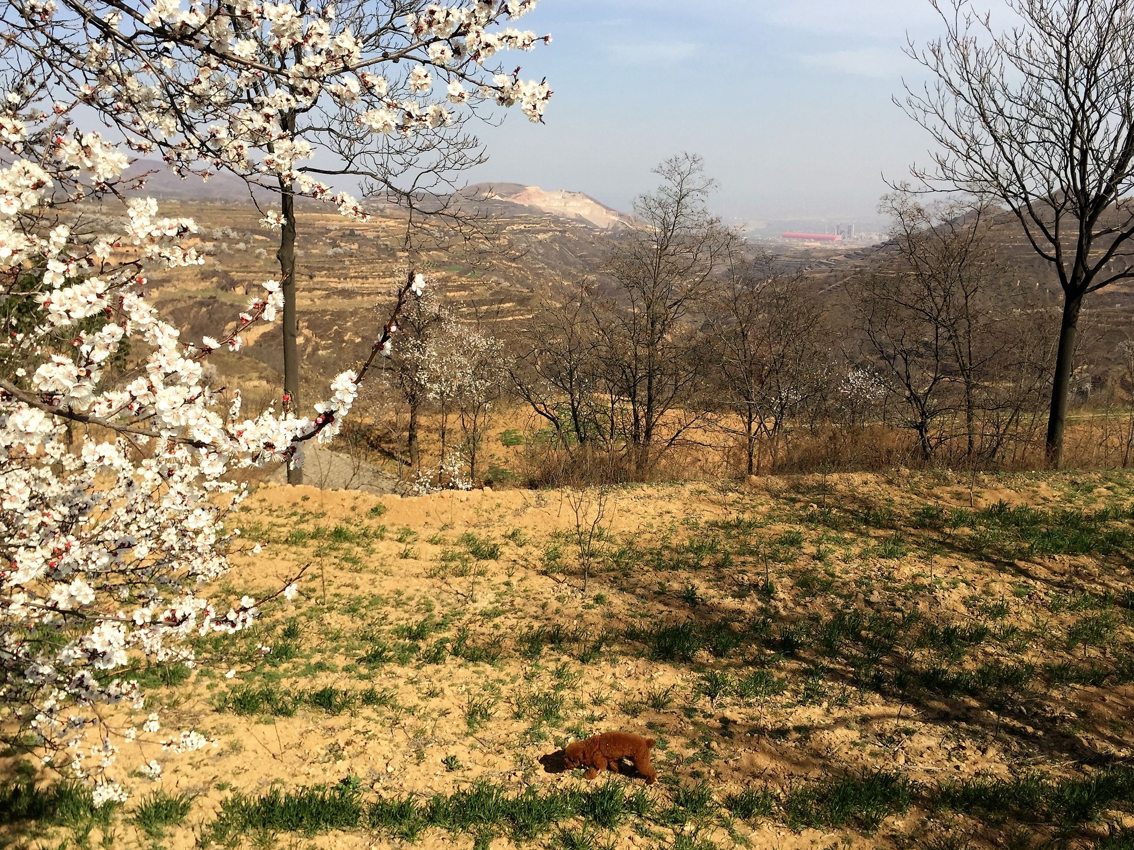 生命的特征包括四大特征,生命的特征政治