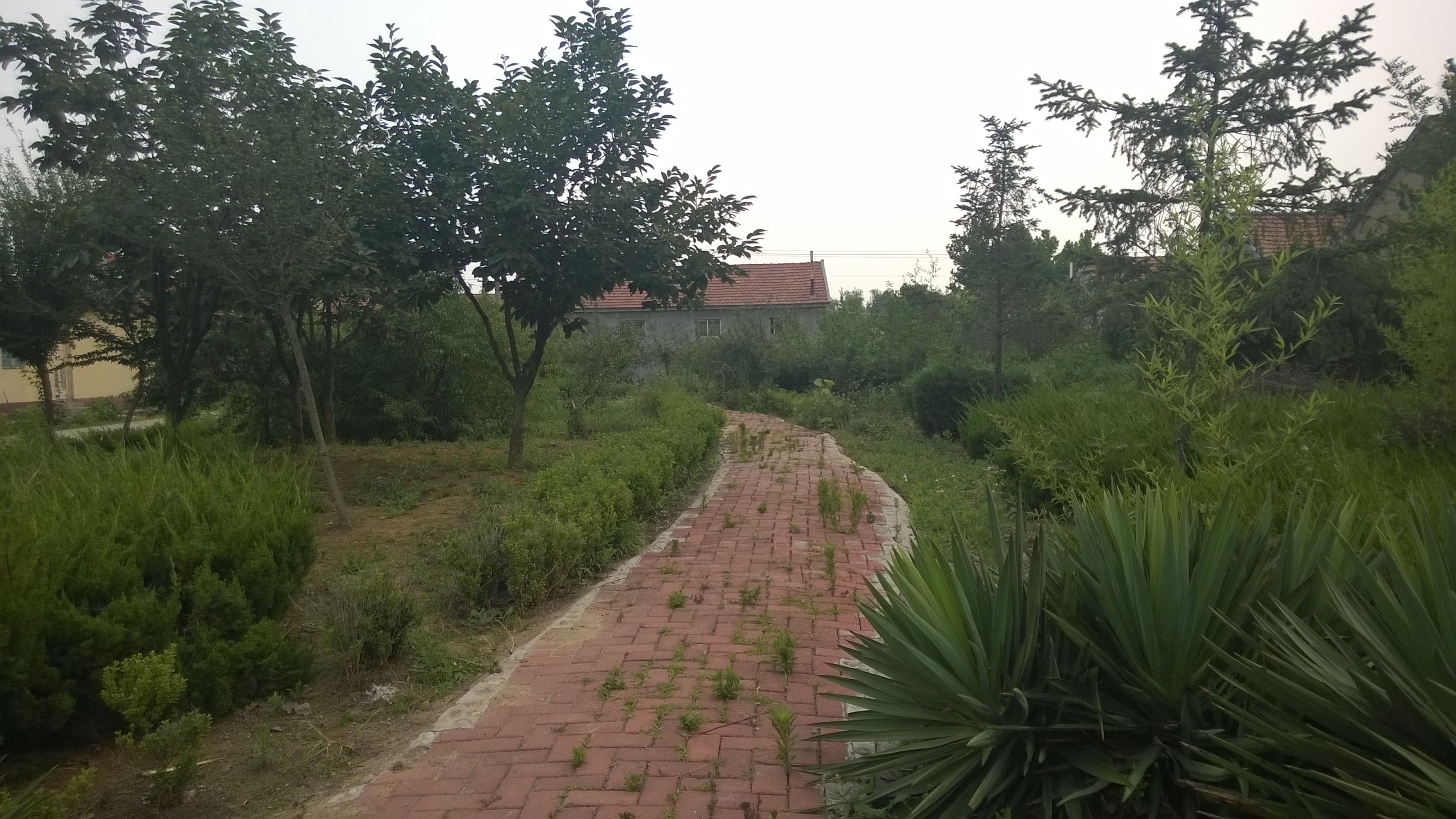 生命的特征包括四大特征,生命的特征政治