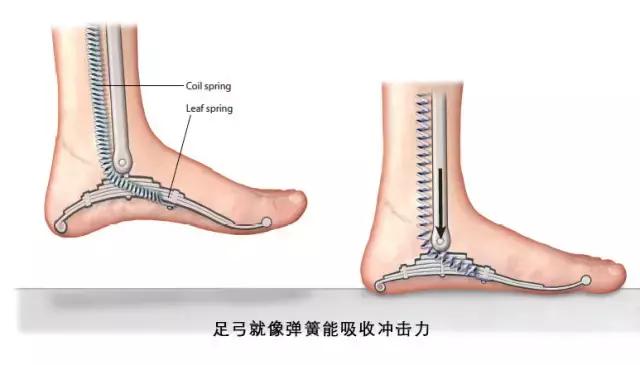 足弓和脚后跟痛怎么回事,长期走路脚掌痛鞋垫软还是硬