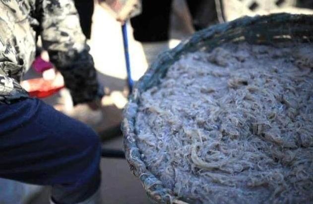 带女朋友回娘家吃辣条,带女友回广西吃水果