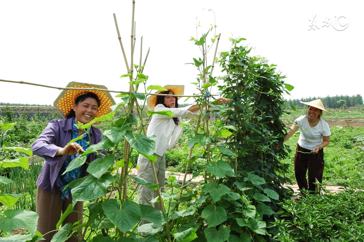 返乡农民工创业面临的困难和问题,返乡创业方面有什么困难