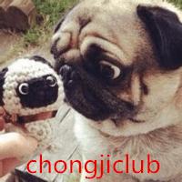 三个月大的哈士奇怎么天天拉稀,哈士奇幼犬拉稀又吐没精神怎么办