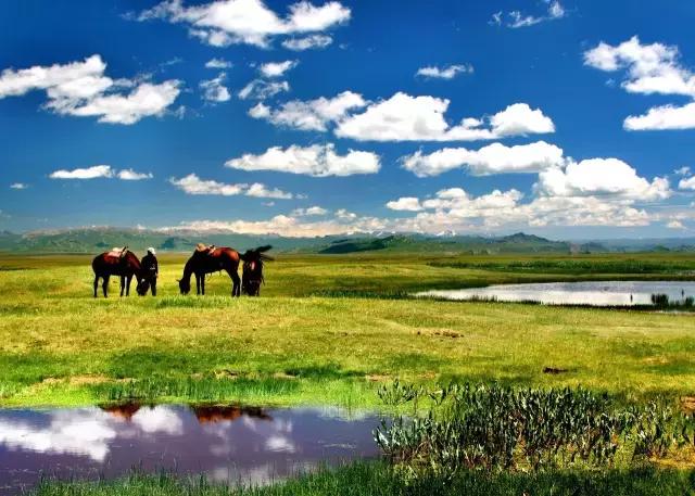 新疆南北疆大环线风景旅游专列,北京去新疆沿途风景